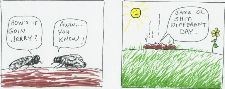 Two Flies Comic Strip